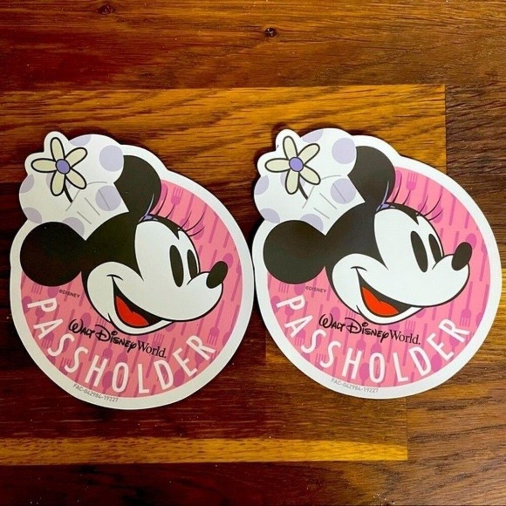 DISNEY magnets disney world NEW chef Minnie passholder magnets